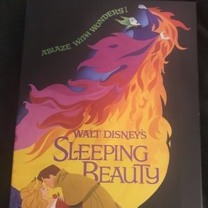 Disney Sleeping Beauty Maleficent Canvas Art